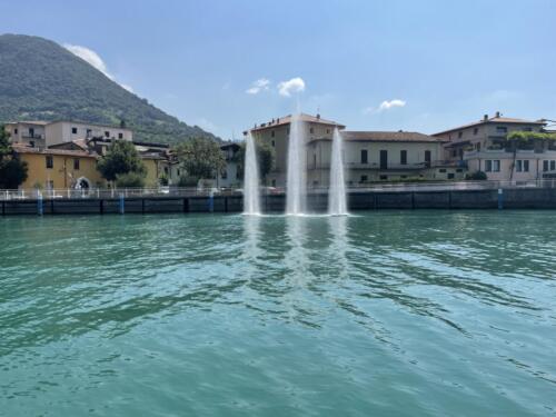 IMG 0336 (1)